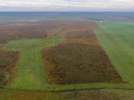 Potter County, SD 160 Acres