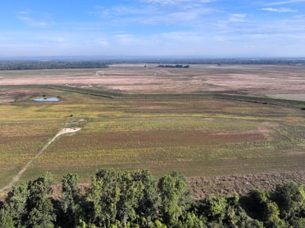 Alma Farm