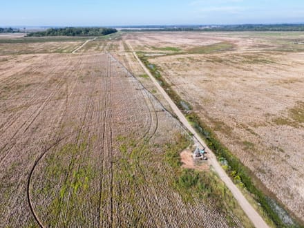 Alma Farm