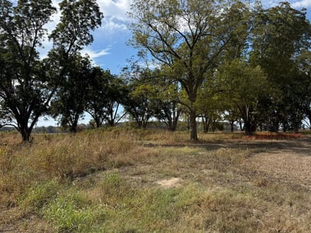 Hwy 79 Farmland