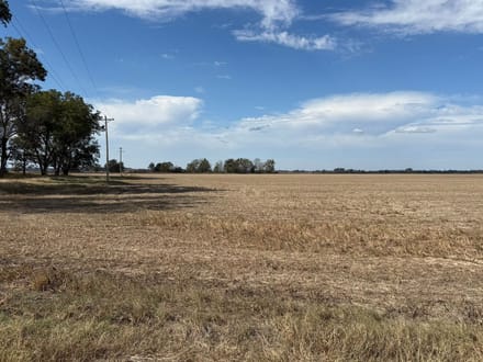 Hwy 79 Farmland