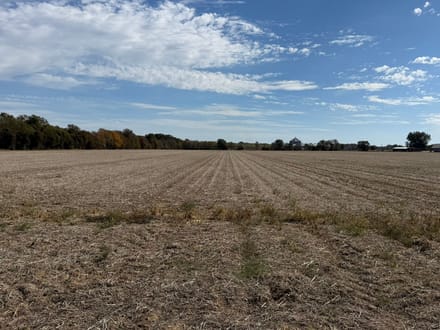 Self Farmland