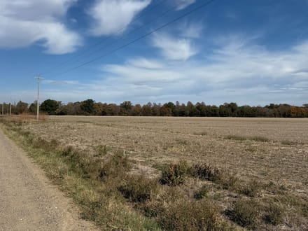 Self Farmland