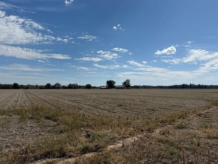 Self Farmland