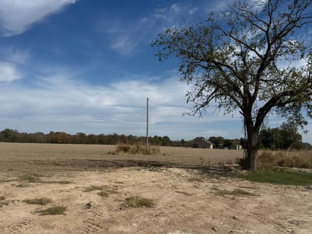 Self Farmland