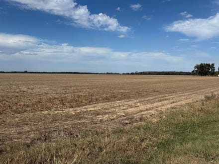 Self Farmland
