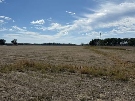 Self Farmland
