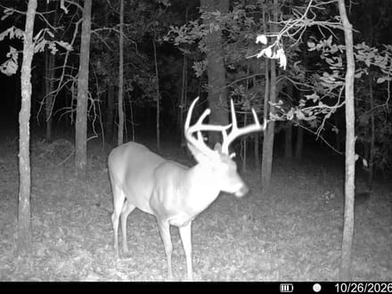 80.3 +/- Acres Between Sherwood & Conway