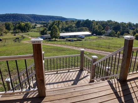 Beautiful 16-Acre Property in Marshall, Arkansas!!!