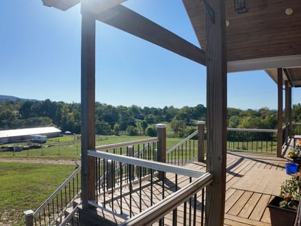 Beautiful 16-Acre Property in Marshall, Arkansas!!!