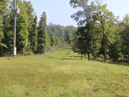 DISCOVER THE BEAUTY OF THE OZARKS!