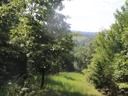 DISCOVER THE BEAUTY OF THE OZARKS!