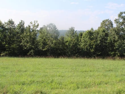 DISCOVER THE BEAUTY OF THE OZARKS!