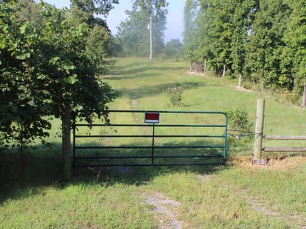 DISCOVER THE BEAUTY OF THE OZARKS!