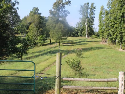 DISCOVER THE BEAUTY OF THE OZARKS!