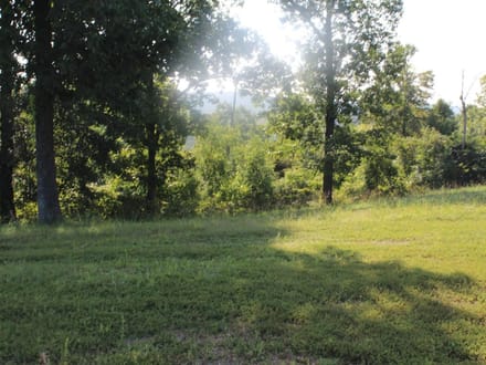 DISCOVER THE BEAUTY OF THE OZARKS!