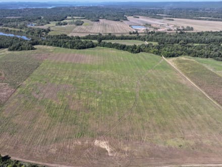 Roland Arkansas River Farm