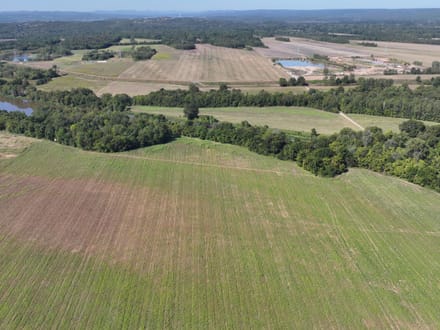 Roland Arkansas River Farm
