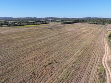 Roland Arkansas River Farm