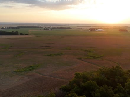 482.66 +/- Acre Farm in St.Francis County, AR