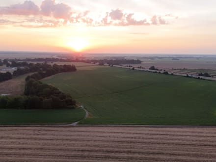 482.66 +/- Acre Farm in St.Francis County, AR