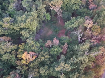 482.66 +/- Acre Farm in St.Francis County, AR