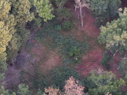 482.66 +/- Acre Farm in St.Francis County, AR