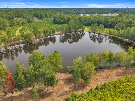 The Fire Tower Pine Plantation, Pond, and Preserve