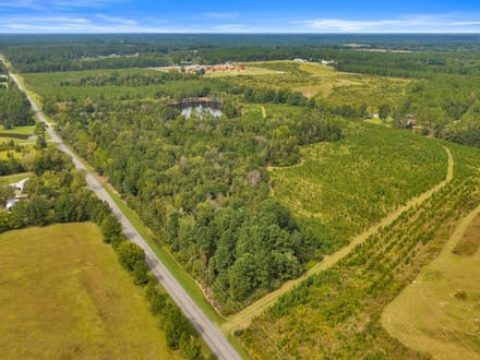 The Fire Tower Pine Plantation, Pond, and Preserve