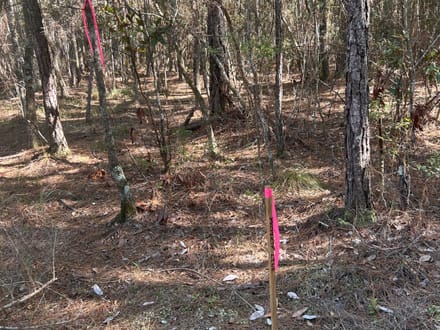 Commercial Land in Bradford County 