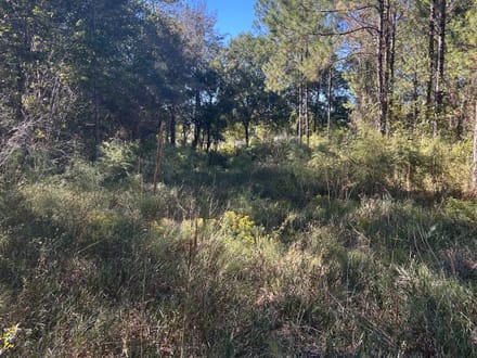 Commercial Land in Bradford County 
