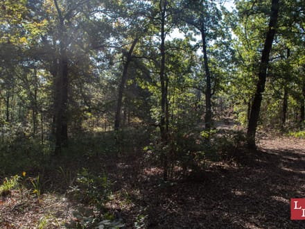 Buck Hollow 320