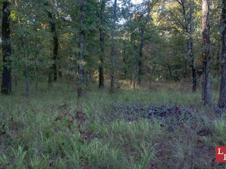 Buck Hollow 320