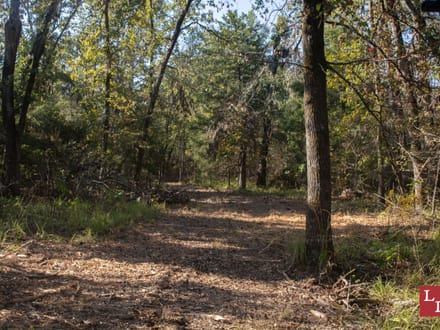 Buck Hollow 320
