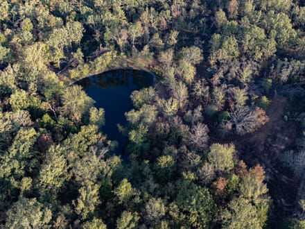 Buck Hollow 320