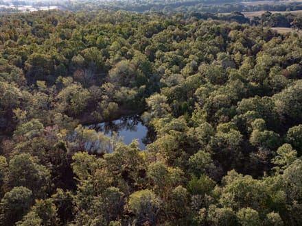 Buck Hollow 320