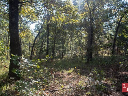 Buck Hollow 320