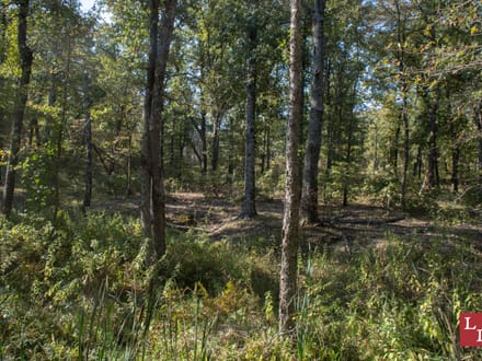 Buck Hollow 320