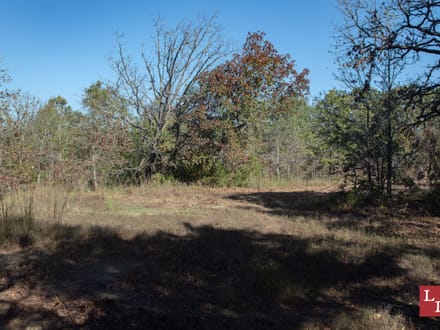 Buck Hollow 320