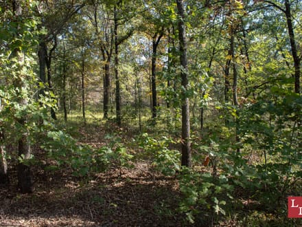 Buck Hollow 320