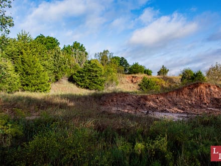 Washita Uplands 585