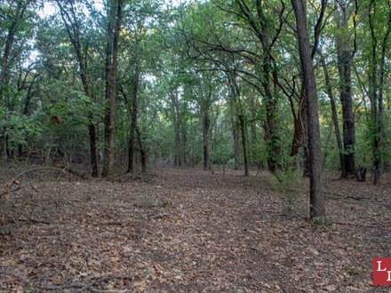 Washita Uplands 585