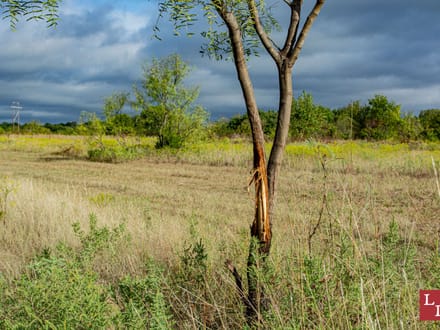 Washita Uplands 585
