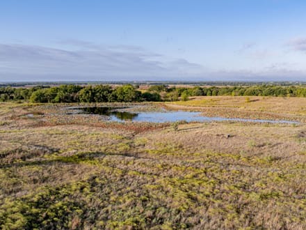 Washita Uplands 585