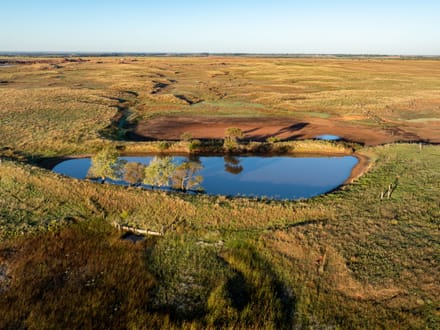 Blue Dog Prairie Ranch 