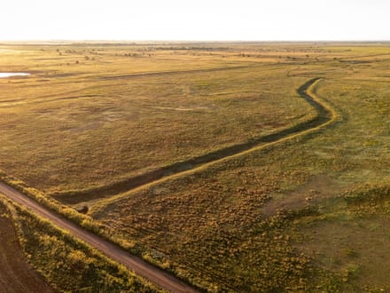Blue Dog Prairie Ranch 