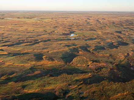 Blue Dog Prairie Ranch 