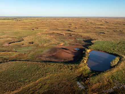 Blue Dog Prairie Ranch 