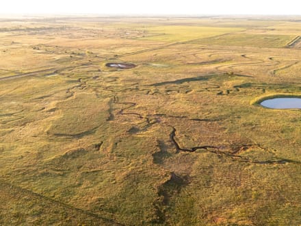 Blue Dog Prairie Ranch 