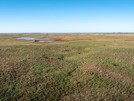 Blue Dog Prairie Ranch 
